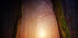 Co może spowodować niewłaściwe oświetlenie? Co może spowodować niewłaściwe oświetlenie?