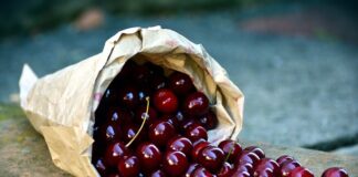 Jak zbierać igliwie?