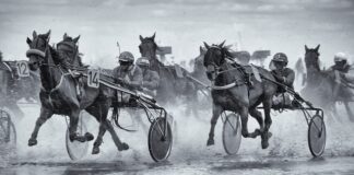 Jak oddzielić ziemię od kamieni? Jak oddzielić ziemię od kamieni?