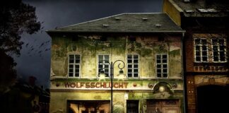 Czy można mieć przyciemnione lampy z tyłu? Czy można mieć przyciemnione lampy z tyłu?