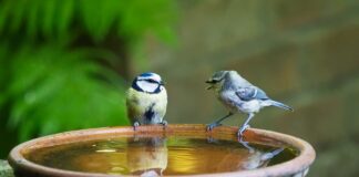 O czym mówi art 54? O czym mówi art 54?