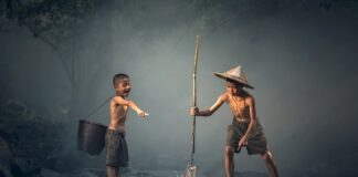 Jakie ryby filtrują wodę? Jakie ryby filtrują wodę?