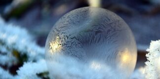 Jak wyczyścić matowe reflektory? Jak wyczyścić matowe reflektory?