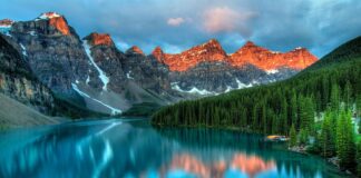 Czym zaimpregnować kamień polny?