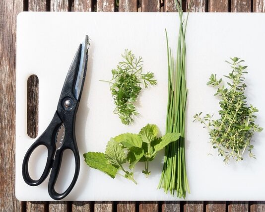 Jaki sekator teleskopowy kupić?