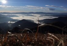 Jak ustawić talerze na stole? Jak ustawić talerze na stole?