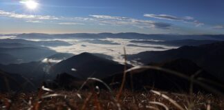 Jak ustawić talerze na stole?