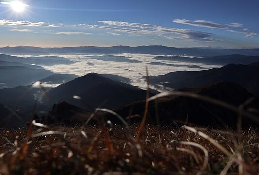 Jak ustawić talerze na stole?