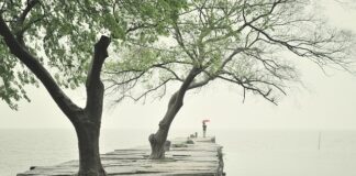 Jakie proporcje cementu i piasku pod krawężniki?