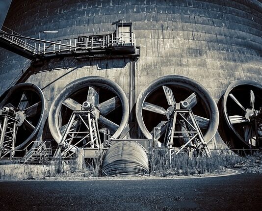 Czy warto kupić dmuchawę do liści?