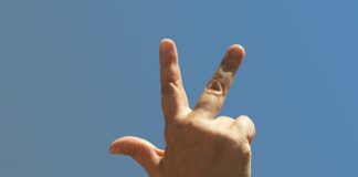 Po co są zimne palce w Destylatorze?