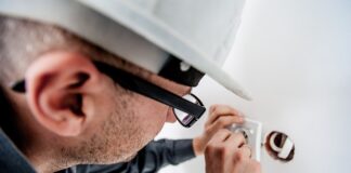 Jak wygląda gniazdo szczurów?